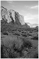 Red wall seen from Surprise Valley, sunset. Grand Canyon National Park ( black and white)