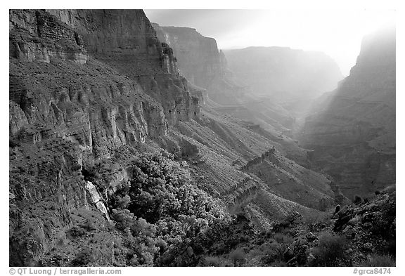 Thunder Spring and Tapeats Creek, morning. Grand Canyon National Park (black and white)