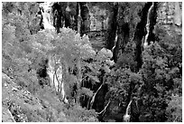 Thunder river lower waterfall, afternoon. Grand Canyon National Park ( black and white)