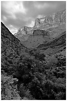 Tapeats Creek, dusk. Grand Canyon National Park ( black and white)