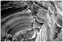 Narrows of Deer Creek. Grand Canyon National Park, Arizona, USA. (black and white)