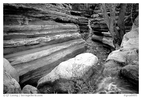 Entrance of Deer Creek Narrows. Grand Canyon National Park (black and white)