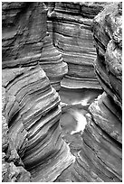 Slot Canyon carved by Deer Creek. Grand Canyon National Park ( black and white)