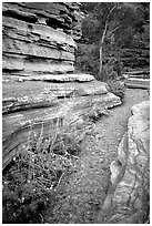 Stream in Deer Creek Narrows. Grand Canyon National Park ( black and white)