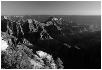 Bright Angel Point, late afternoon. Grand Canyon National Park ( black and white)