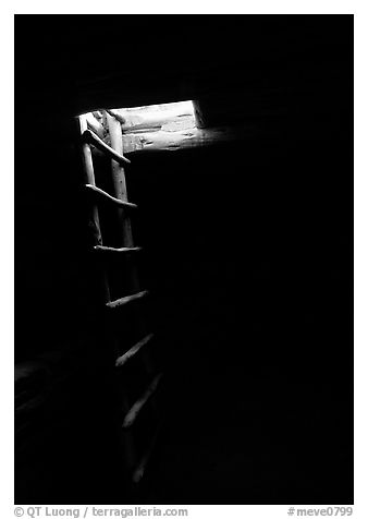 Dark kiva room with Ladder through light opening, Spruce Tree house. Mesa Verde National Park, Colorado, USA.