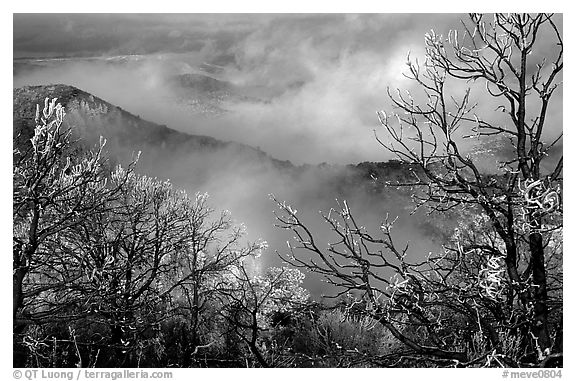 Clearing winter storm on North Rim, morning. Mesa Verde National Park (black and white)