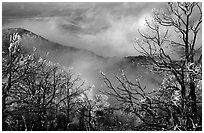 Clearing winter storm on North Rim, morning. Mesa Verde National Park ( black and white)