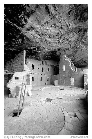 Ladder emerging from Kiva and Spruce Tree house. Mesa Verde National Park (black and white)