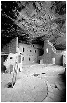 Ladder emerging from Kiva and Spruce Tree house. Mesa Verde National Park, Colorado, USA. (black and white)