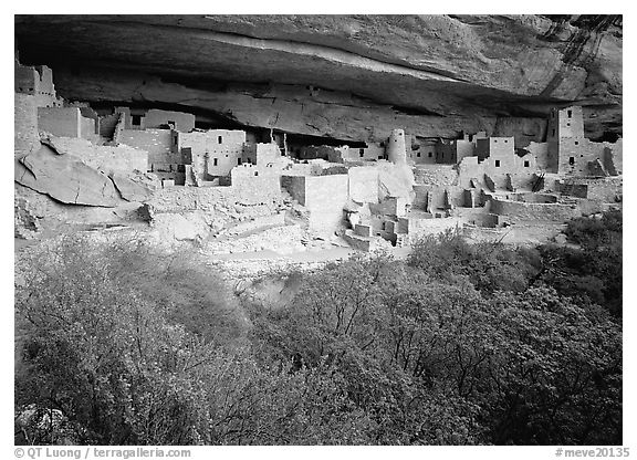 Cliff Palace. Mesa Verde National Park (black and white)