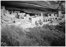 Cliff Palace ruin in rock alcove. Mesa Verde National Park, Colorado, USA. (black and white)