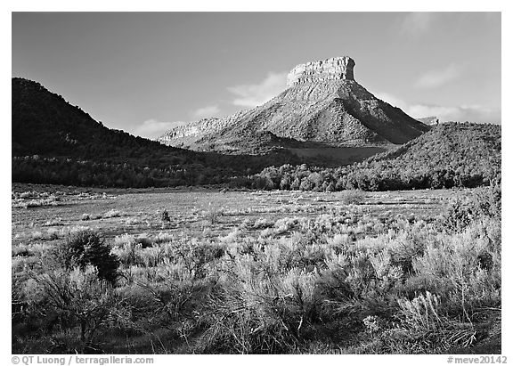Meadows and Lookout Peak, early morning. Mesa Verde National Park (black and white)