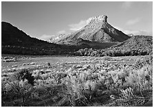 Meadows and Lookout Peak, early morning. Mesa Verde National Park, Colorado, USA. (black and white)
