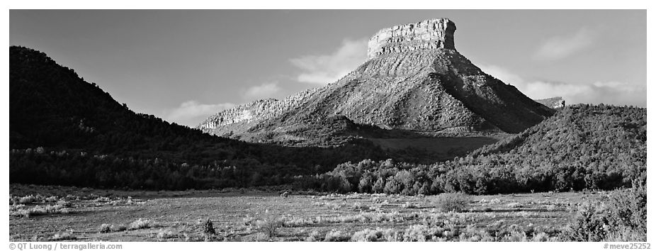 Mesa and meadow. Mesa Verde National Park (black and white)