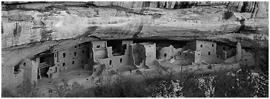 Spruce Tree House under rock overhang. Mesa Verde National Park (Panoramic black and white)