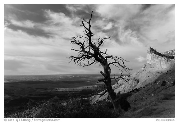 Montezuma Valley Overlook. Mesa Verde National Park (black and white)