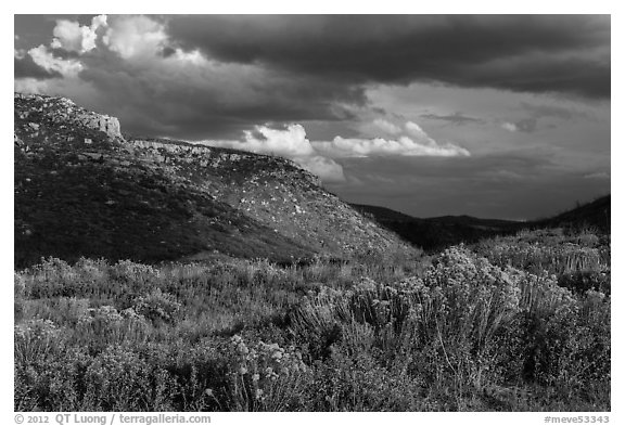 Prater Canyon, afternoon storm. Mesa Verde National Park (black and white)