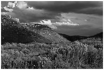 Prater Canyon, afternoon storm. Mesa Verde National Park ( black and white)