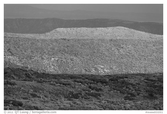 Layers of hills with autumn foliage. Mesa Verde National Park (black and white)