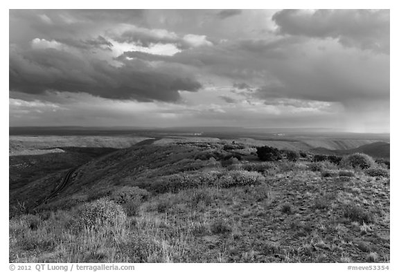 Expansive view from Park Point. Mesa Verde National Park (black and white)