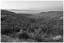 Canyon slopes covered in fall foliage at sunrise. Mesa Verde National Park ( black and white)