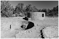 Far View Tower. Mesa Verde National Park ( black and white)