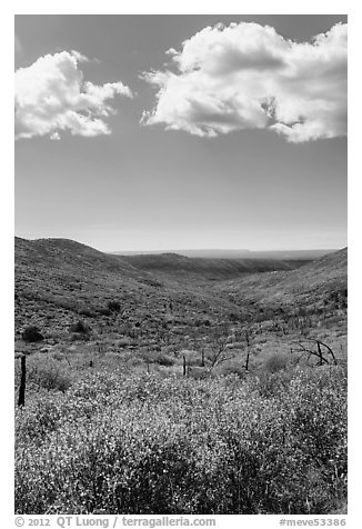 Clouds and landscape with fall colors. Mesa Verde National Park (black and white)