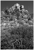 Outcrop with shurbs in fall foliage. Mesa Verde National Park ( black and white)