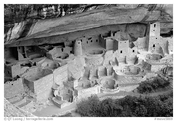 Cliff Palace sheltered by rock overhang. Mesa Verde National Park (black and white)