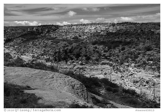 Canyon, Wetherill Mesa. Mesa Verde National Park (black and white)