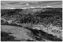 Canyon, Wetherill Mesa. Mesa Verde National Park ( black and white)
