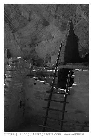Ladder and ruined walls, Long House. Mesa Verde National Park (black and white)