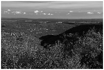 Srubs in autumn and cuesta, Wetherill Mesa. Mesa Verde National Park ( black and white)