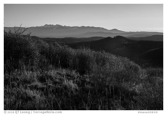 Shrubs and mountains at sunrise from Park Point. Mesa Verde National Park (black and white)