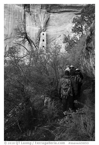 Tour participants hike to Square Tower House. Mesa Verde National Park (black and white)