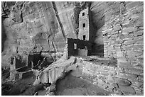 Ground-level view of Square Tower House. Mesa Verde National Park ( black and white)