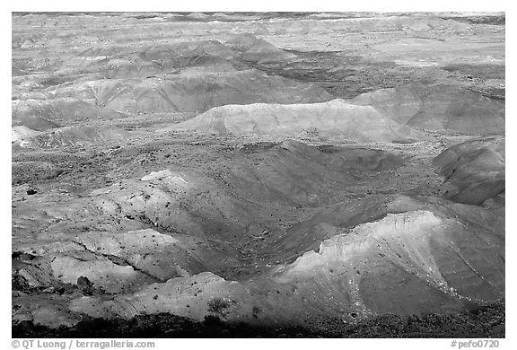 Painted Desert, morning. Petrified Forest National Park (black and white)
