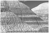 Erosion formations in Blue Mesa. Petrified Forest National Park ( black and white)