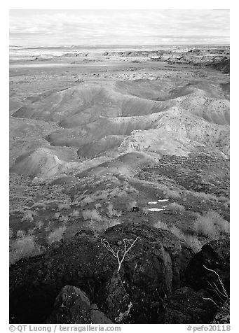 Painted desert, morning. Petrified Forest National Park (black and white)