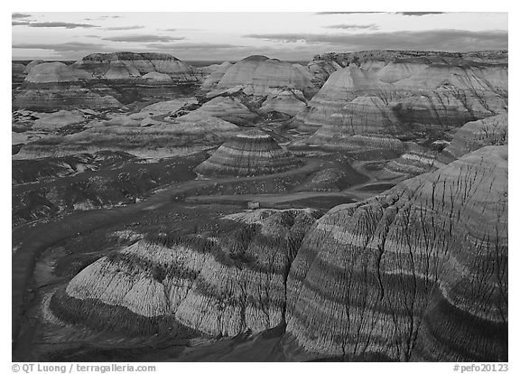 Blue Mesa basin at sunset. Petrified Forest National Park (black and white)