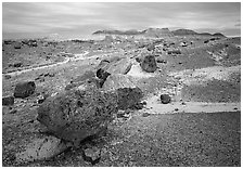 Colorful petrified wood section and badlands. Petrified Forest National Park ( black and white)
