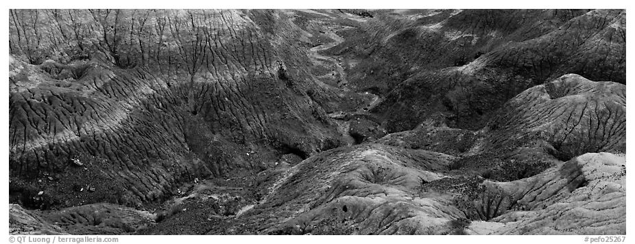 Multi-hued badlands. Petrified Forest National Park (black and white)