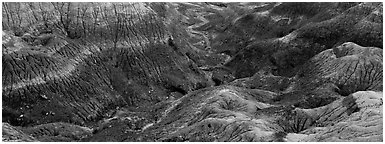 Multi-hued badlands. Petrified Forest National Park (Panoramic black and white)