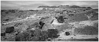 Landscape of colorful petrified logs and badlands. Petrified Forest National Park (Panoramic black and white)