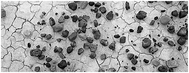Dried mud cracks and multi-colored stones. Petrified Forest National Park (Panoramic black and white)