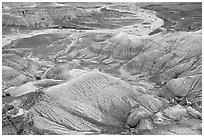 Fossilized logs and Blue Mesa, mid-day. Petrified Forest National Park ( black and white)