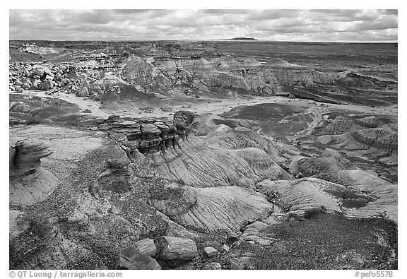 Petrifieds logs and Blue Mesa, mid-day. Petrified Forest National Park (black and white)