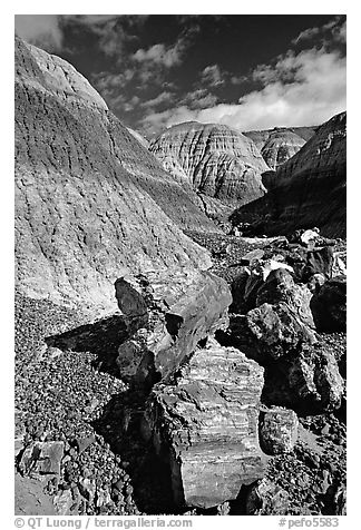 Colorful fossilized logs in Blue Mesa, afternoon. Petrified Forest National Park (black and white)