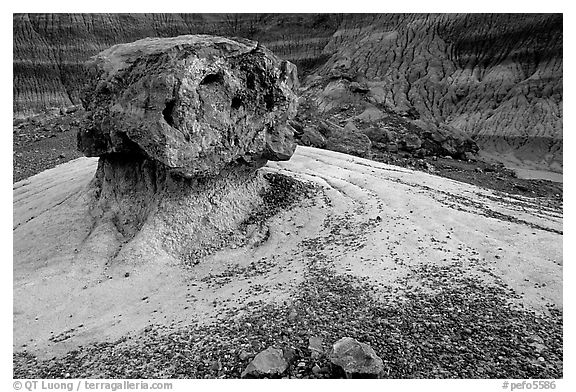 Pedestal petrified log in Blue Mesa, afternoon. Petrified Forest National Park, Arizona, USA.